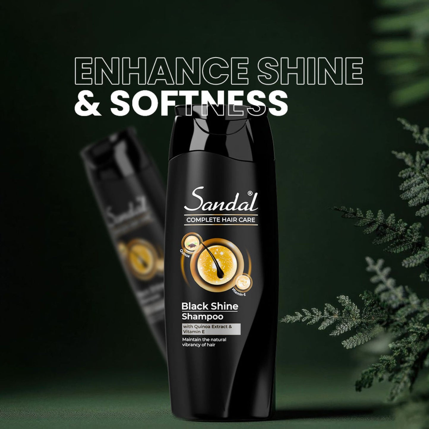 Sandal Black Shine Shampoo for Deep Shine & Strong Hair